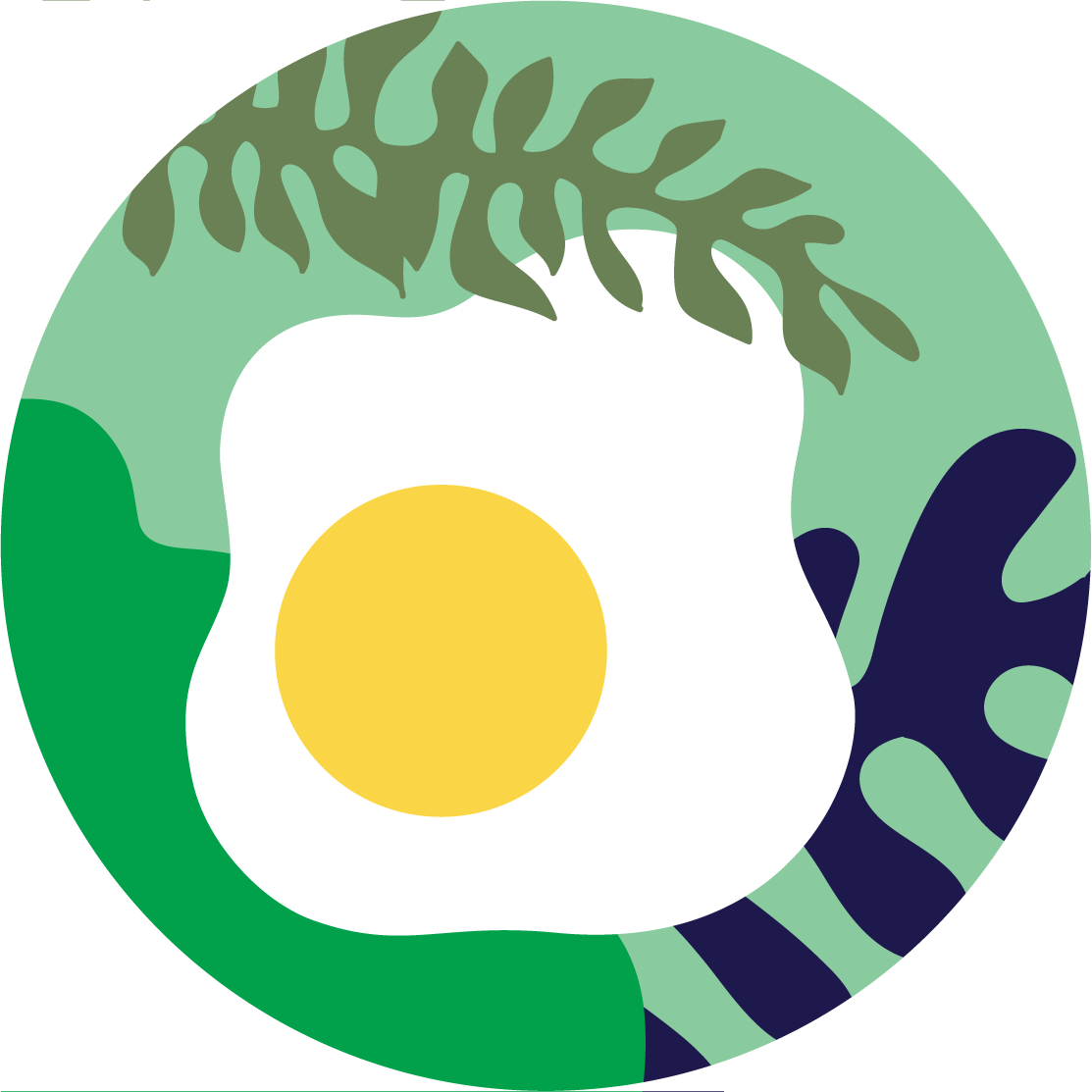 آفر ویژه
